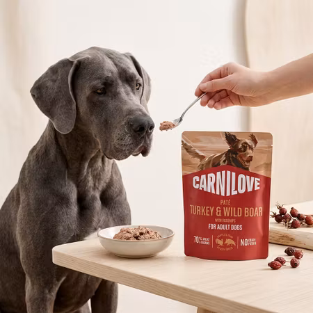 Carnilove Paté Kalkon & Vildsvin med Nypon 300 g