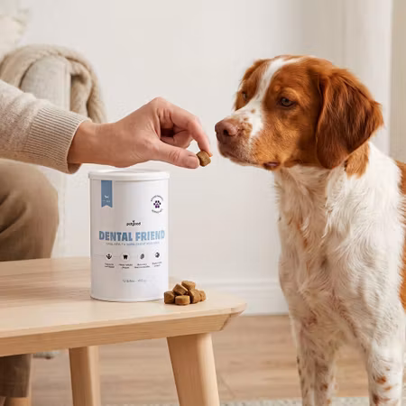 Petgood Dental Friend – 180 g