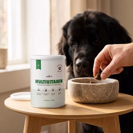 Petgood Multivitamin Vuxen – 180 g