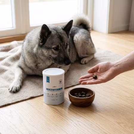 Petgood Multivitamin Senior – 180 g