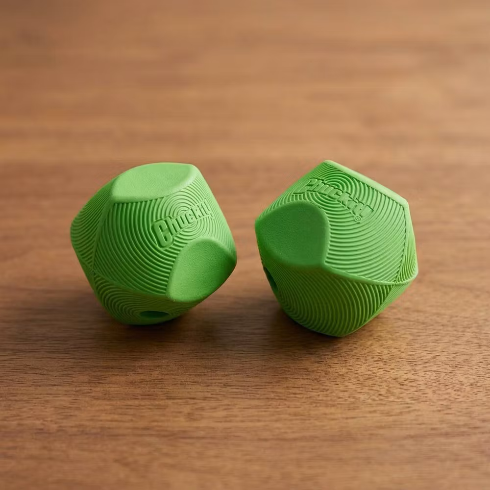 Chuckit! Erratic Ball Small – 2-pack