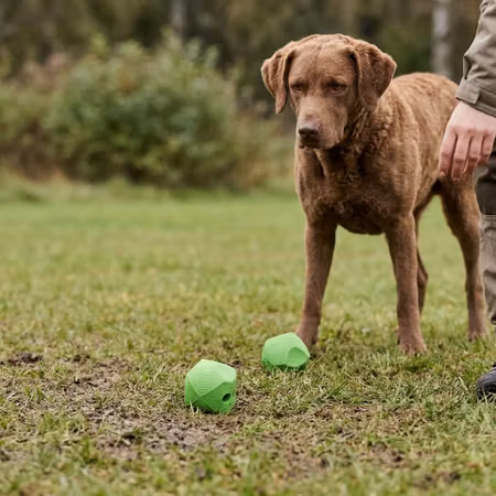 Chuckit! Erratic Ball