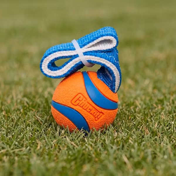 Chuckit! Ultra Tug