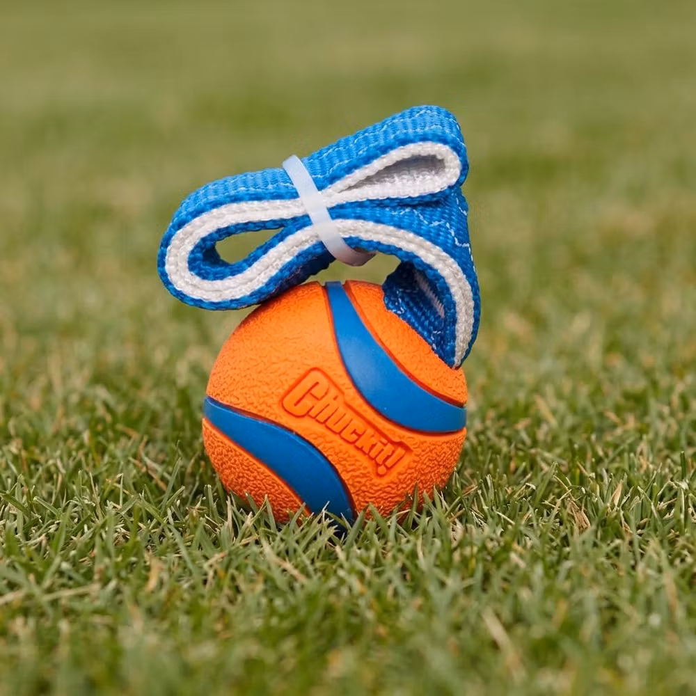 Chuckit! Ultra Tug S – ø 5 cm