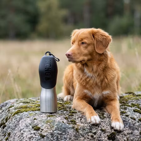 KONG H2O Vattenflaska – Svart 740 ml