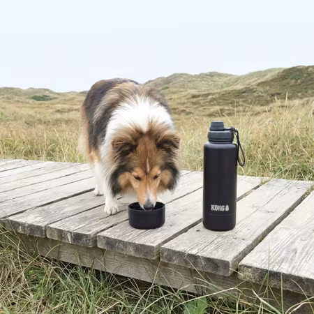 KONG Duo Drinker Vattenflaska – Svart 910 ml