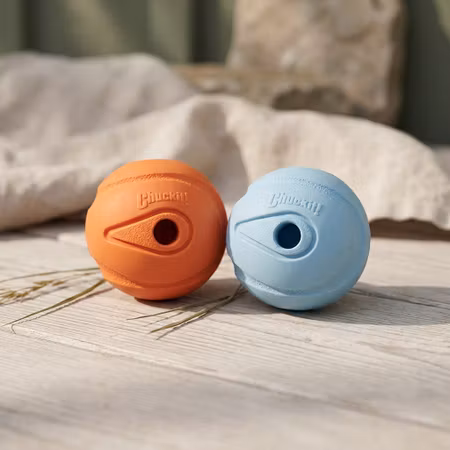 Chuckit! The Whistler – Medium 6 cm, 2-pack