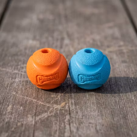 Chuckit! Fetch Ball – Medium 6 cm, 2-pack