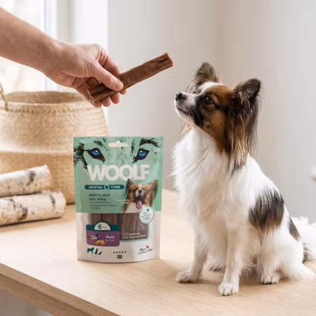 WOOLF Dental Care – Duck & Pear 6 st