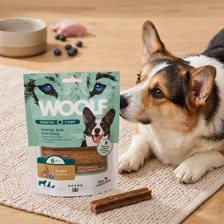 WOOLF Dental Care – Rabbit & Blueberry 6 st