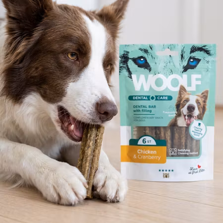 WOOLF Dental Care – Chicken & Cranberry 6 st