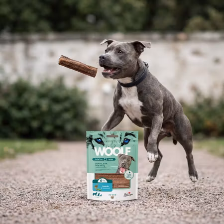 WOOLF Dental Care – Ostrich & Seaweed 6 st