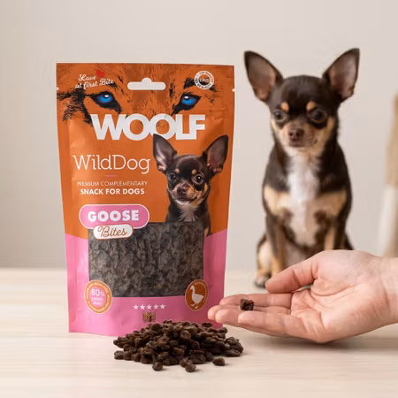 WOOLF WildDog – Goose Bites 100 g