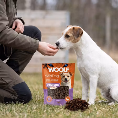 WOOLF WildDog – Venison Bites 100 g