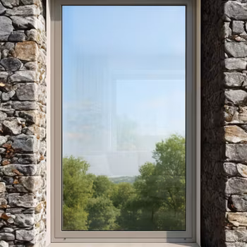 Sentinel Plus Silver 35