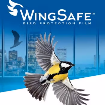 Pellicola protettiva per uccelli WingSafe™
