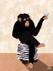 Monkey and Butterfly