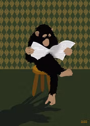 Monkey