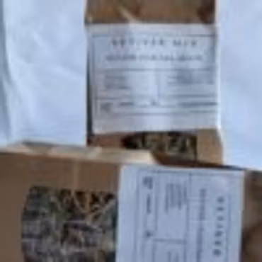 Vetiver Mix (Gongonlili) Ingefära & Mynta: En skatt för din hälsa