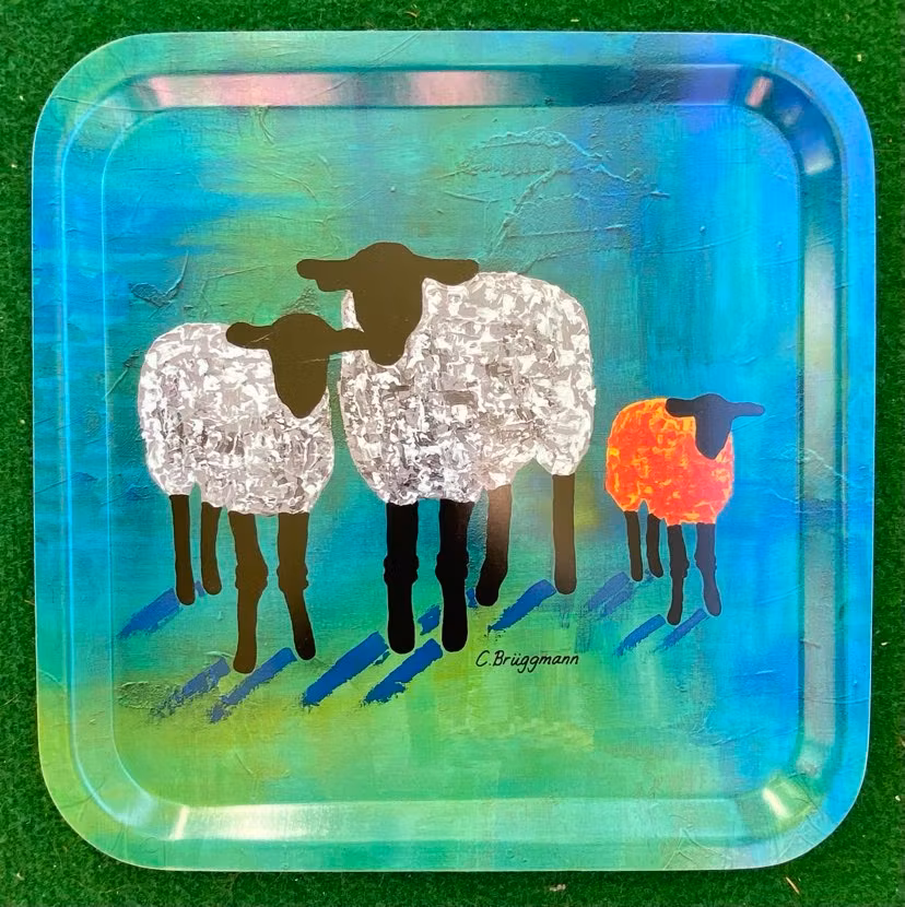 Lunchbricka, Grön/Orange