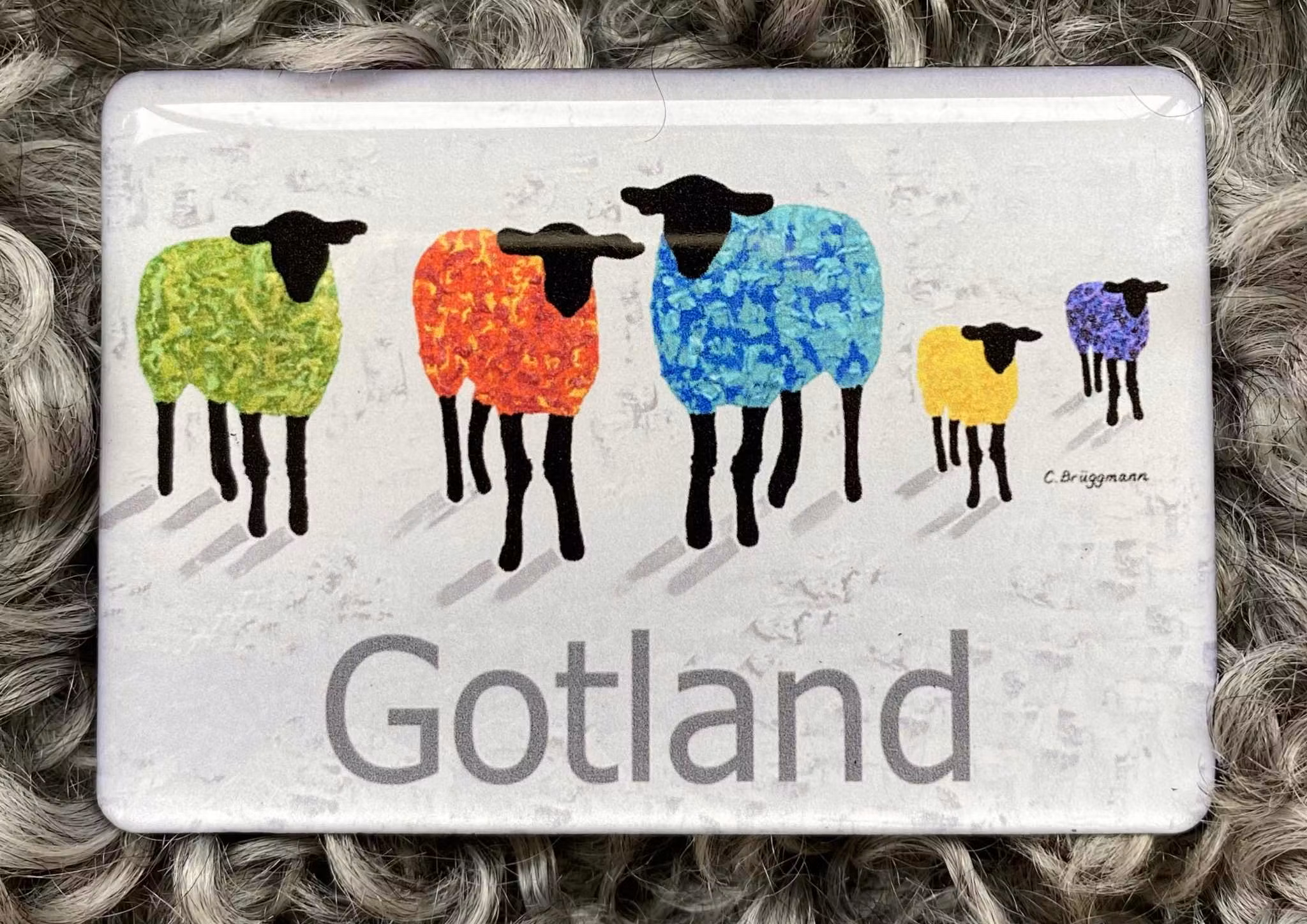 Snygg och rolig kylskåpsmagnet med många gotlandsfår målade i olika färger designad av C.Brüggmann.
