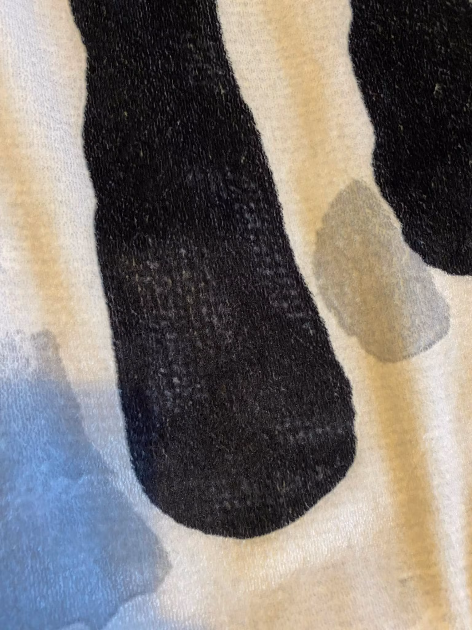 Konstmotiv på lång och varm filt skapad av C.Brüggmann. En pläd med får.