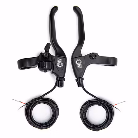Dualtron bromshandtag par