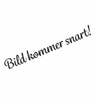 Elisa BLEKROSA - stor med strassring - hårklämma
