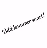 Fluga Klassisk BEIGE