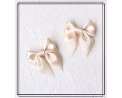 Saga CHAMPAGNE - liten - 2-pack hårklämmor