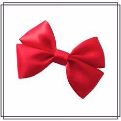 Vera RÖD - stor - hårklämma