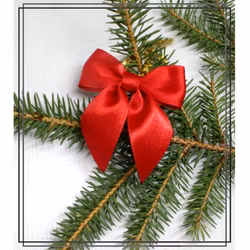 Elin RÖD - liten - julrosett