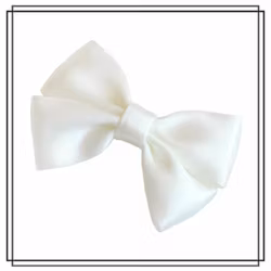 Vera BRUDVIT - liten - hårklämma