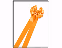 Elisa ORANGE - liten doprosett