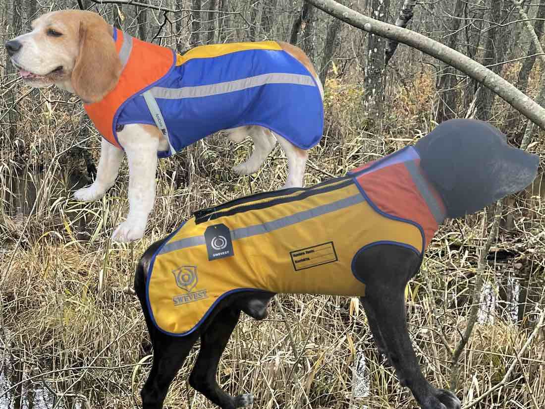 Jagd hund - Swevest