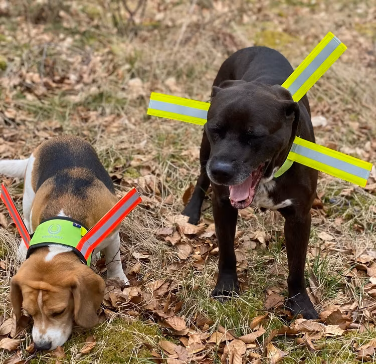 Swevest Reflexhalsband