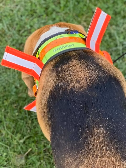 Swevest Reflexhalsband