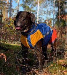 Swevest Skyddsväst Orka