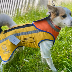 Mithrill hundbrynja