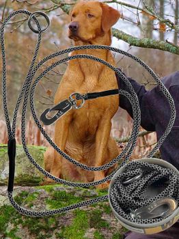 Dog Leash Shooter