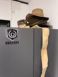 Swevest Sticker