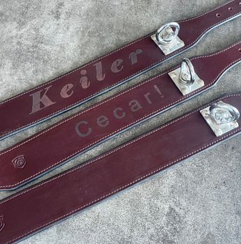 Track collar Järven
