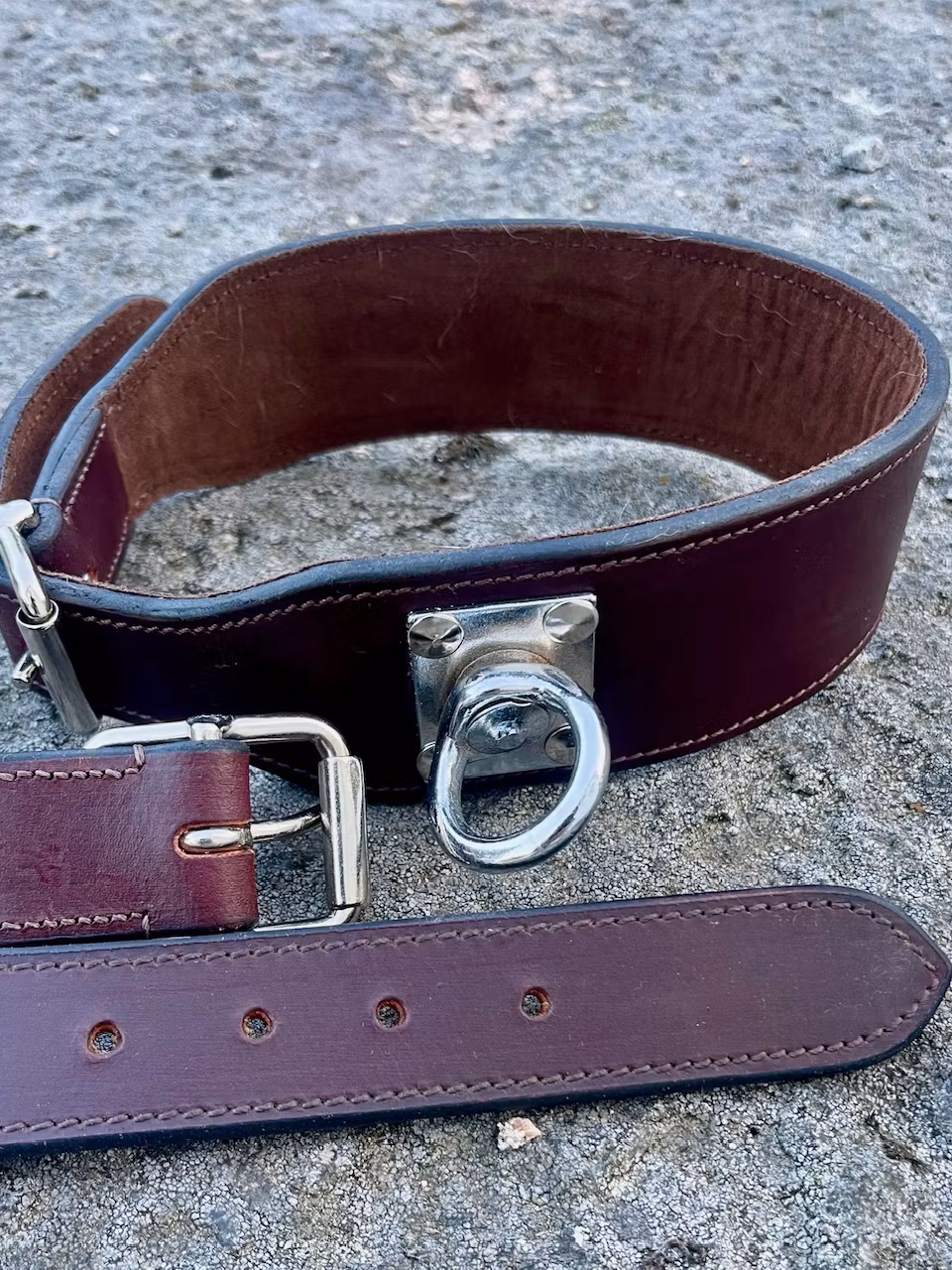 Track collar Järven