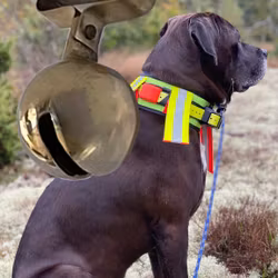 Handgefertigte Hundeglocke aus Messing
