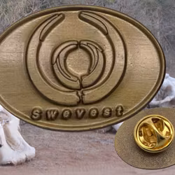 Swest PIN
