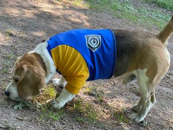 Skyddströja Stolt Hund