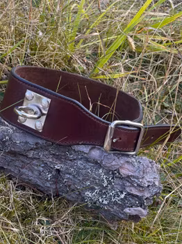Spårhalsband Trofe