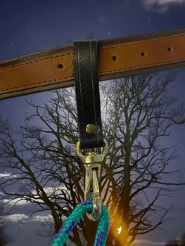 Leash Hook in Leather/ Brass