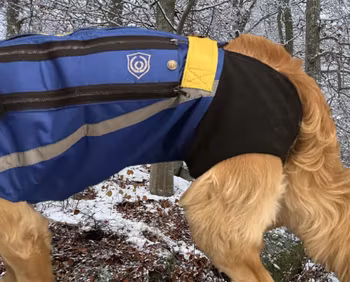 Swevest 3.0 Dog protection