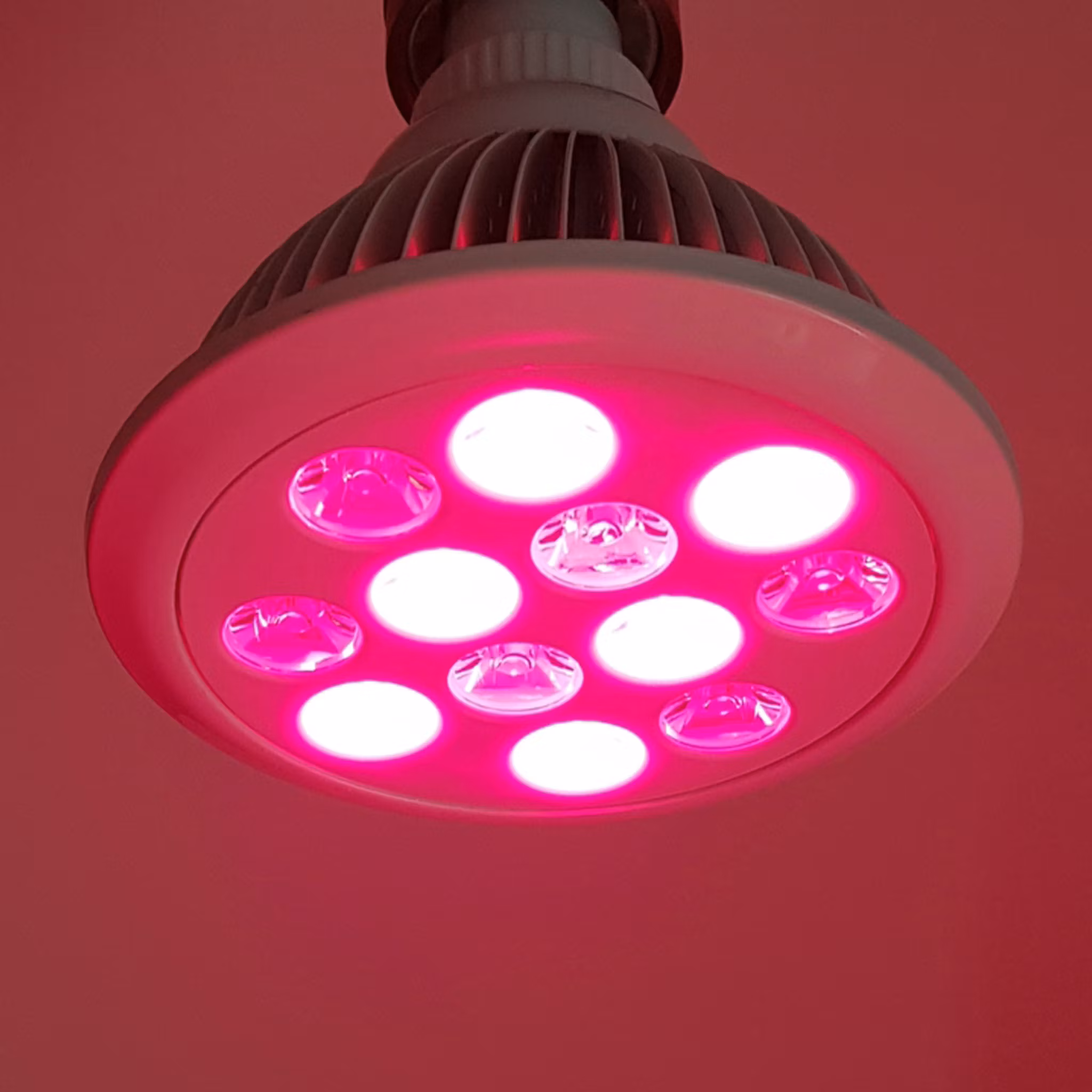 Red mini (660 & 850 nm) - red/Infrared light lamp